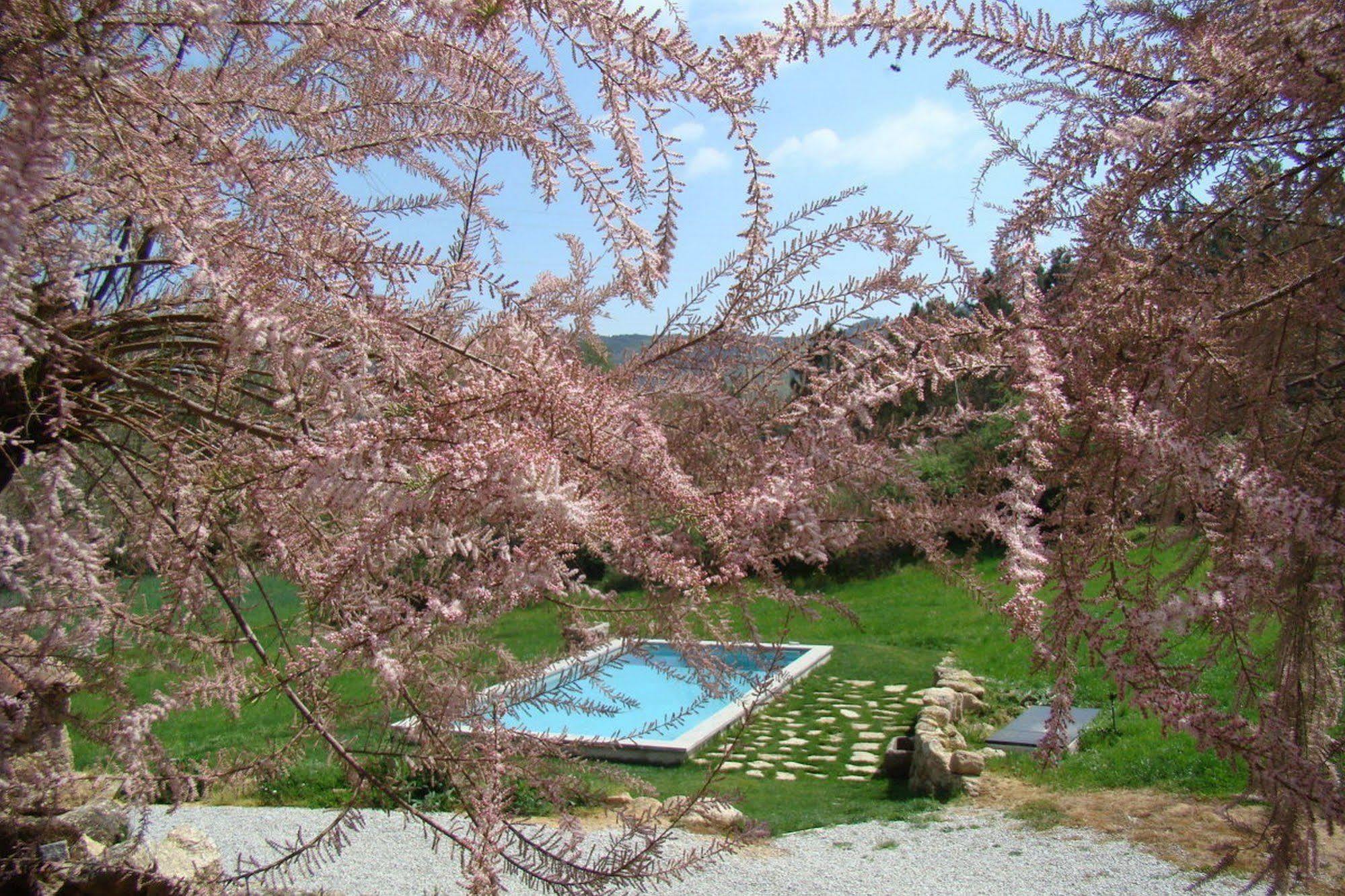 Гостевой дом Quinta De Seves Ковильян Экстерьер фото